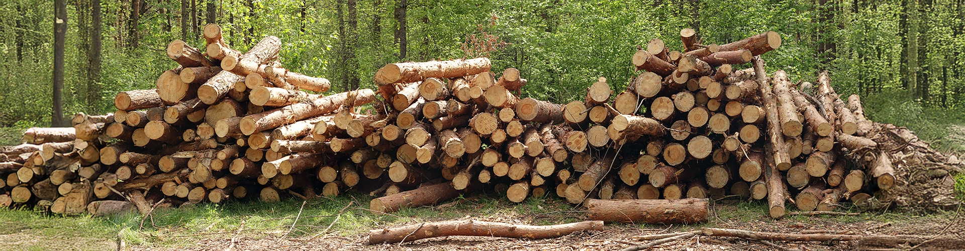 Sustainable & Reliable Timber Supply