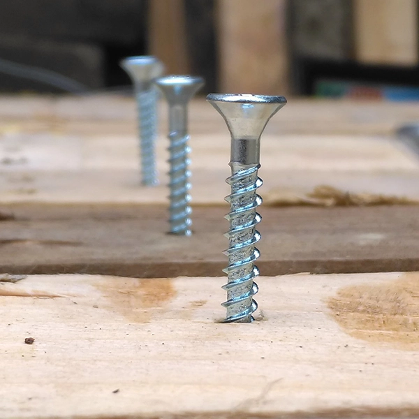 Coach Screws