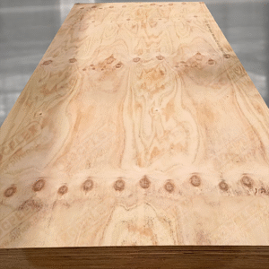 Structural F8 CD Ply 2400x1200x7MM