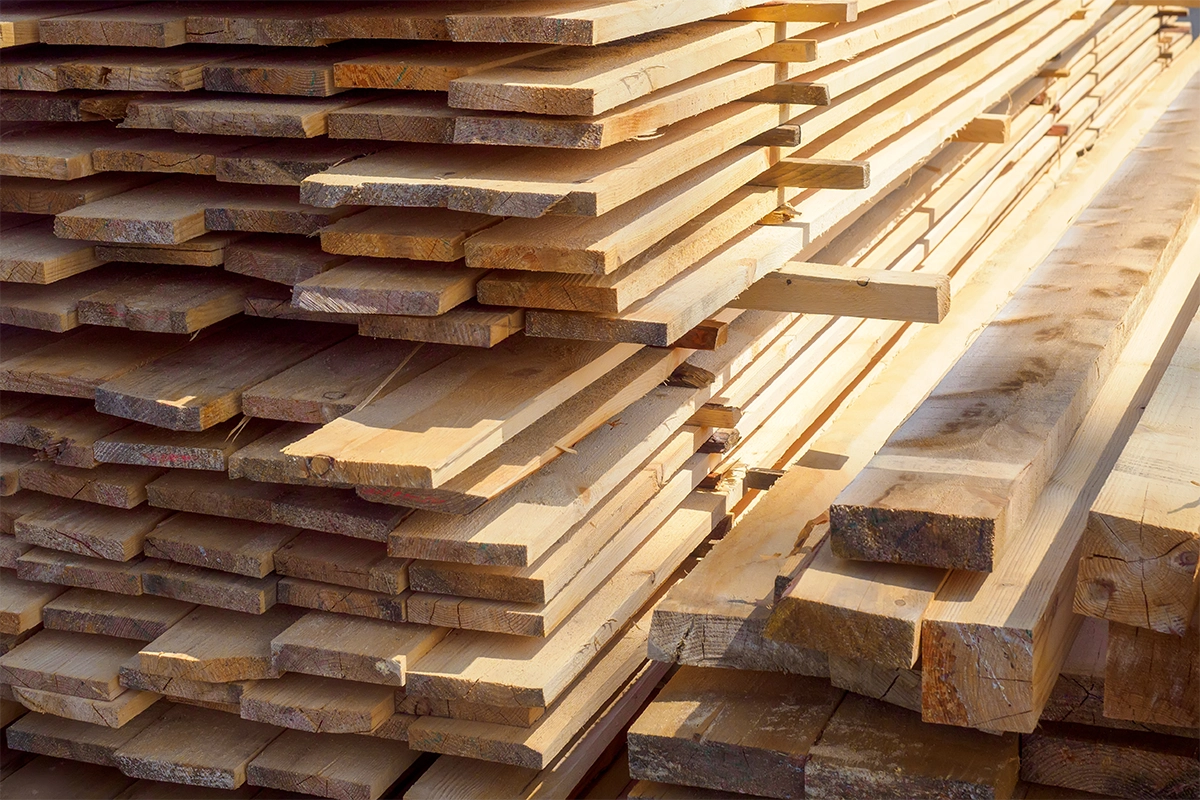 Tasmanian Oak