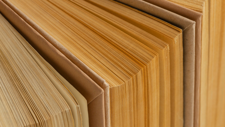 The Builder’s Edge: How to Choose the Right Formply