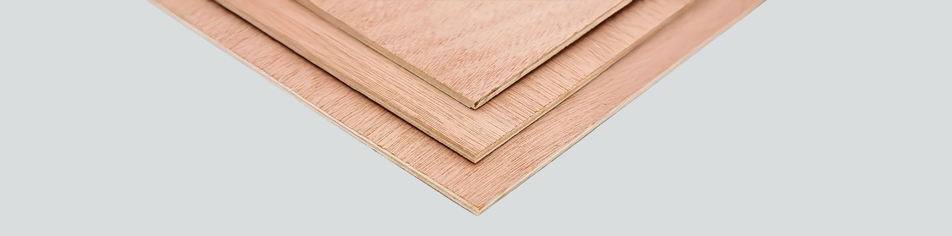 F22-Brace-Ply-2