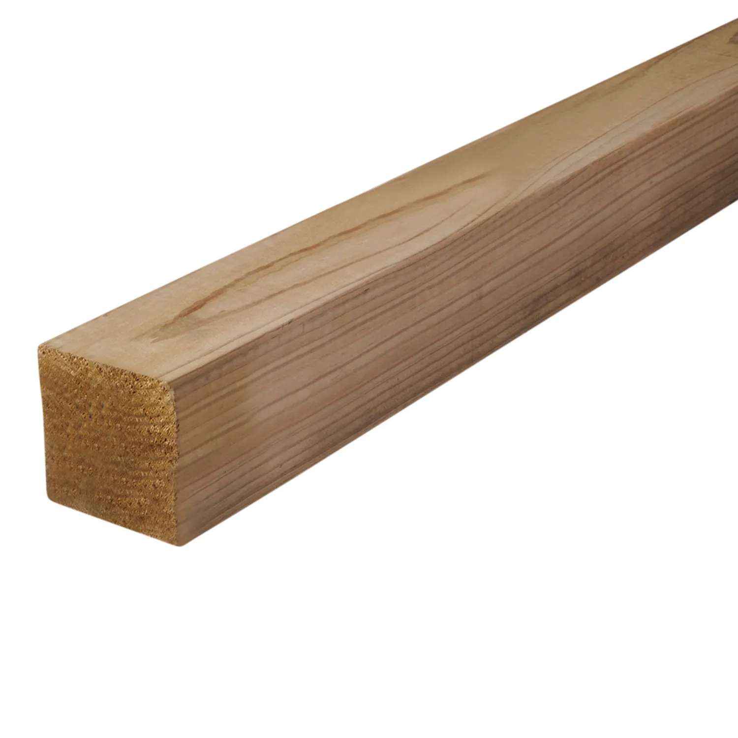 Treated Pine Posts